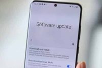 2 Cara mengatasi update perangkat lunak Samsung tidak berjalan